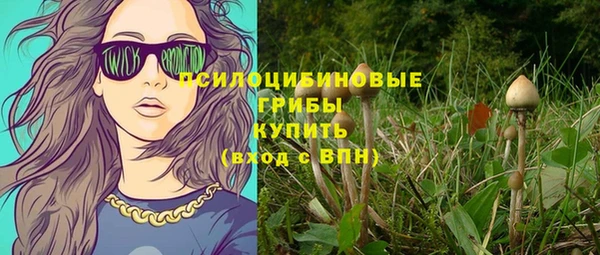 спиды Аркадак