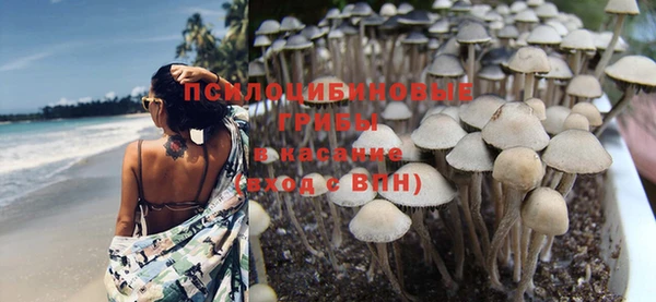 гашиш Няндома
