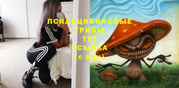 метадон Арсеньев